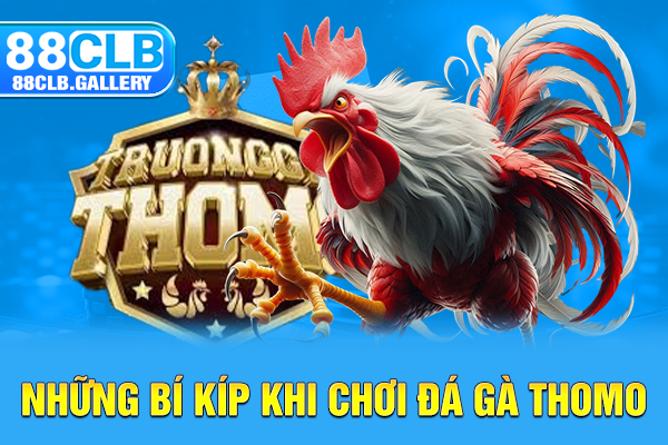 Những bí kíp khi chơi đá gà Thomo